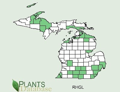 200602 Smooth Sumac (Rhus glabra) - USDA MI Distribution Map.jpg